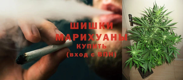 PSILOCYBIN Богданович
