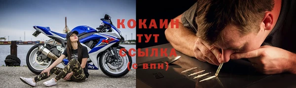 стаф Богородицк