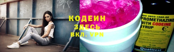 стаф Богородицк