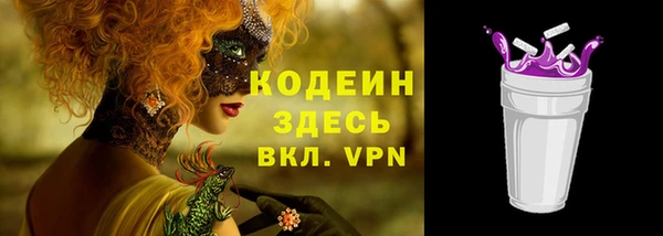 стаф Богородицк