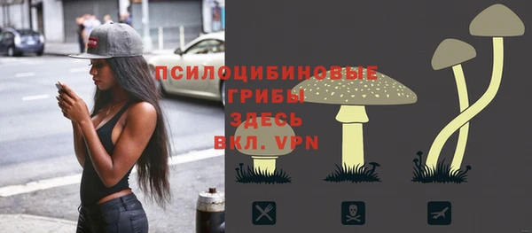 хмурый Богородск