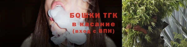 стаф Богородицк