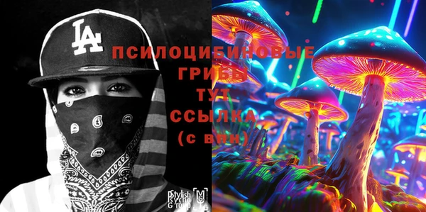 хмурый Богородск