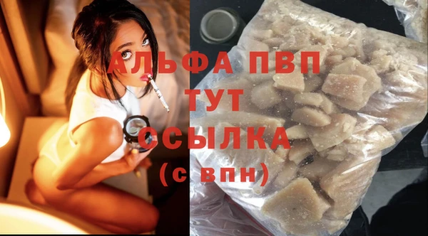 стаф Богородицк