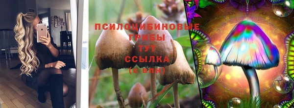 PSILOCYBIN Богданович