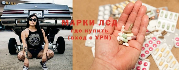 PSILOCYBIN Богданович