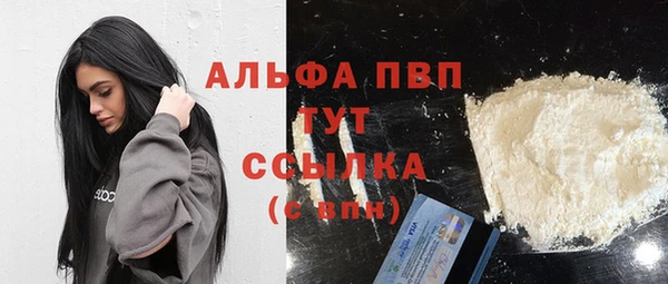 стаф Богородицк
